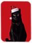 CATクリスマスカード